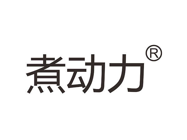 煮動力